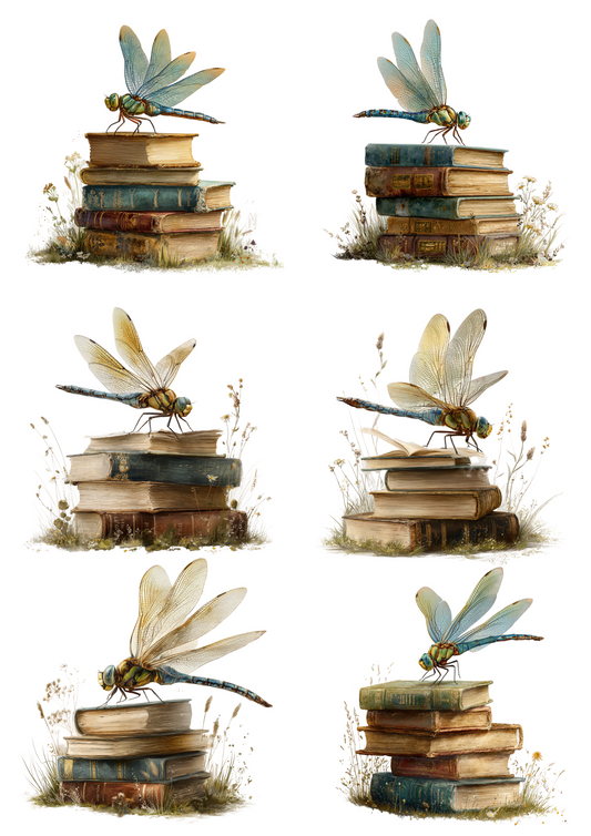 Rice Paper For Decoupage Dragonfly On Books Collage Cat. No. 4989