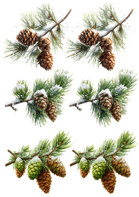 Rice Paper For Decoupage Pine Cones Collage Cat. No. 5009