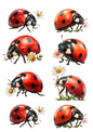 Rice Paper for Decoupage Ladybug Collage Cat. No. 5019