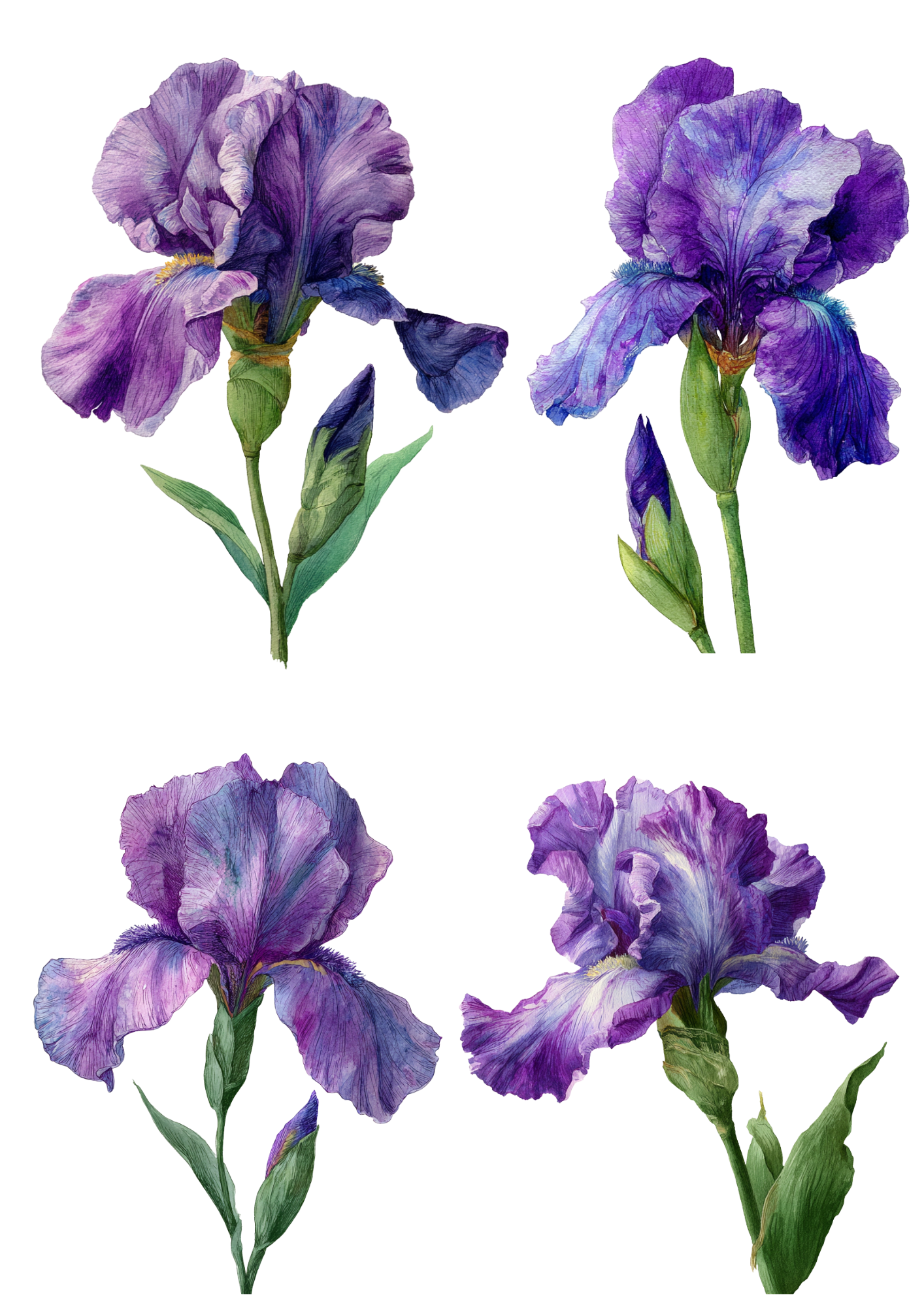 Rice Paper For Decoupage Purple Iris Collage Cat. No. 5026