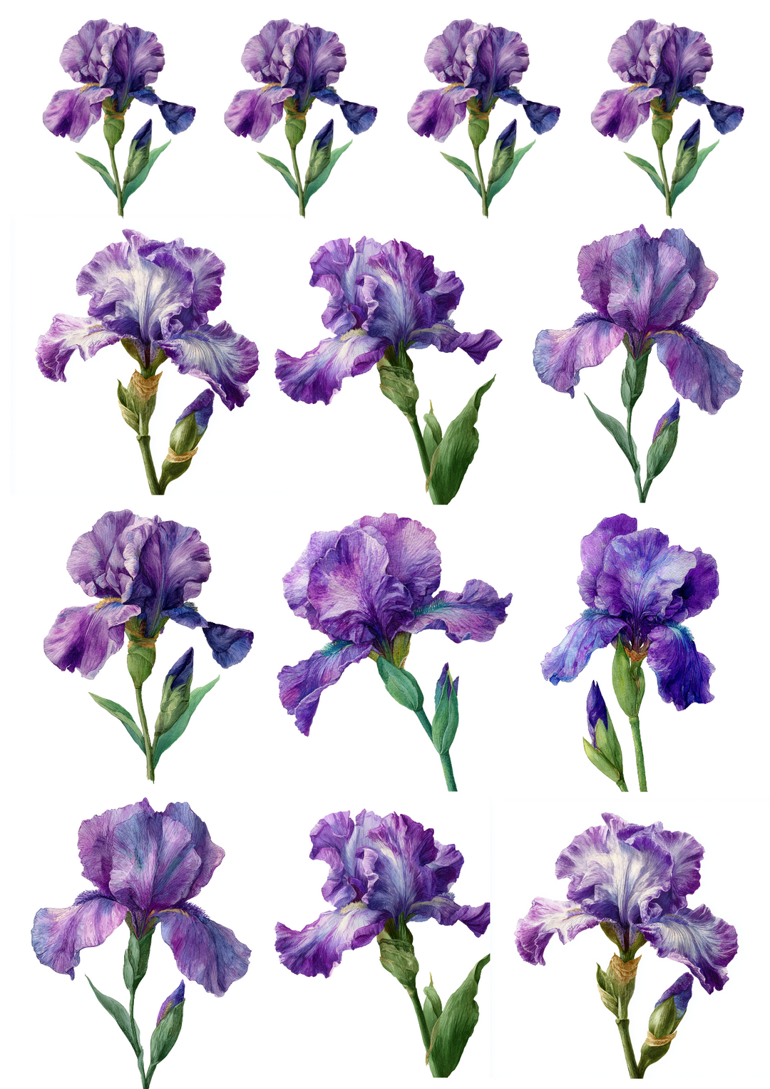 Rice Paper For Decoupage Purple Iris Collage Cat. No. 5027