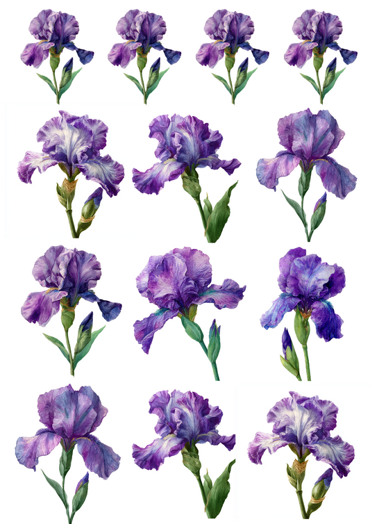 Rice Paper For Decoupage Purple Iris Collage Cat. No. 5027