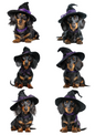 Rice Paper For Decoupage Dachshund In A Hat Collage Cat. No. 5032