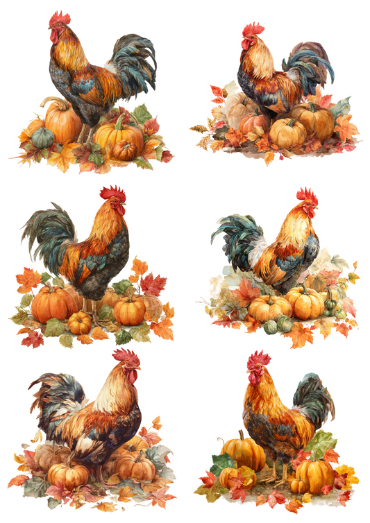 Rice Paper For Decoupage Rooster On Pumpkins Collage Cat. No. 5037