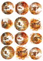 Rice Paper For Decoupage Little Deer In Autumn Circles Collage Cat. No. 5039