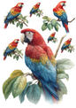 Rice Paper For Decoupage Macaw Parrot Collage Cat. No. 5059