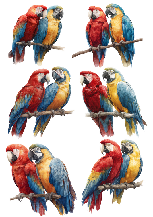 Rice Paper For Decoupage Macaw Parrot Collage Cat. No. 5060