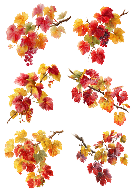 Rice Paper For Decoupage Grape Branches Collage Cat. No. 5064