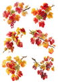 Rice Paper For Decoupage Grape Branches Collage Cat. No. 5064