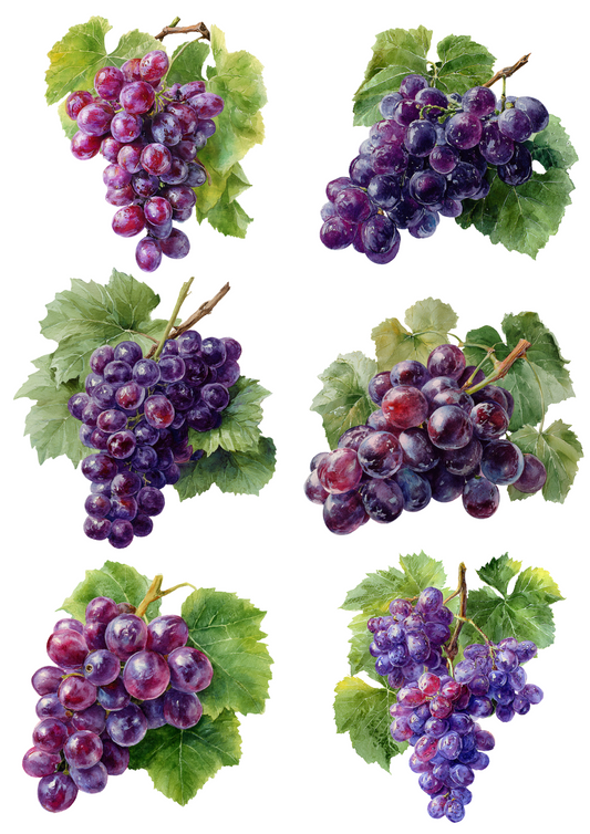 Rice Paper For Decoupage Grape Branches Collage Cat. No. 5065