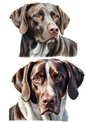 Rice Paper For Decoupage Shorthaired Pointer Collage Cat. No. 5083