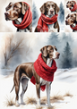 Rice Paper For Decoupage Shorthaired Pointer Collage Cat. No. 5086