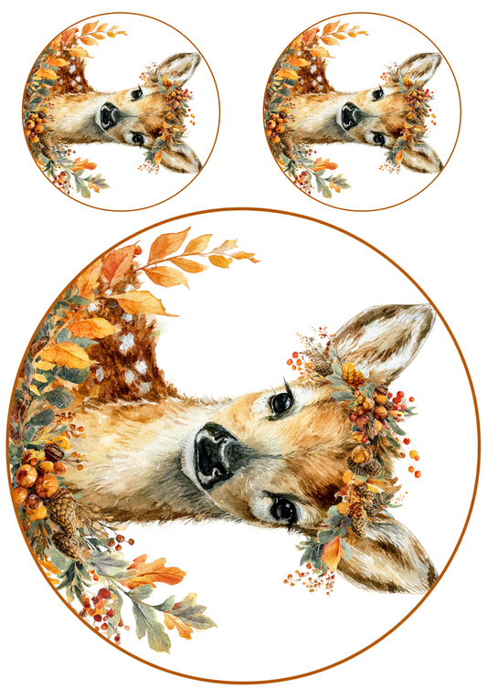 Rice Paper For Decoupage Little Deer In Autumn Circles Collage Cat. No. 5094