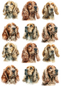 Rice Paper For Decoupage Cocker Spaniel Collage Cat. No. 5106