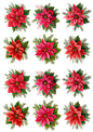 Rice Paper For Decoupage Poinsettia Collage Cat. No. 5122