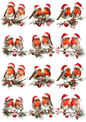 Rice Paper For Decoupage Red Robin In Christmas Hat Collage Cat. No. 5135