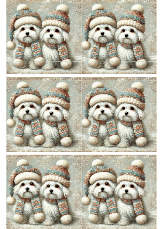 Rice Paper For Decoupage Maltese Dogs in Hat Collage Cat. No. 5140