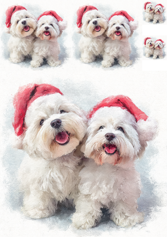 Rice Paper For Decoupage Maltese Dogs in Christmas Hat Collage Cat. No. 5141