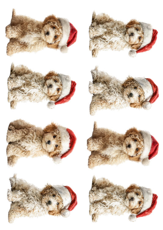 Rice Paper For Decoupage Maltese Dogs in Christmas Hat Collage Cat. No. 5142
