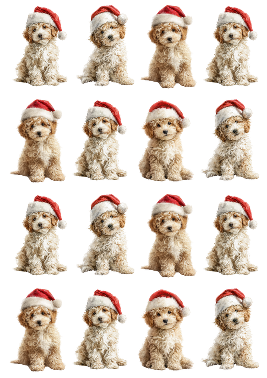 Rice Paper For Decoupage Maltese Dogs in Christmas Hat Collage Cat. No. 5143