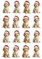 Rice Paper For Decoupage Maltese Dogs in Christmas Hat Collage Cat. No. 5143