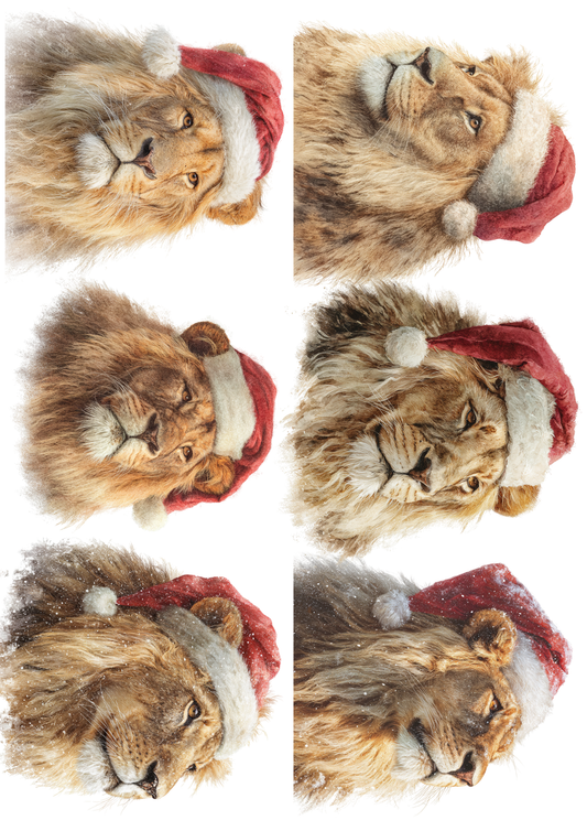 Rice Paper For Decoupage Lion In Christmas Hat Collage Cat. No.5148