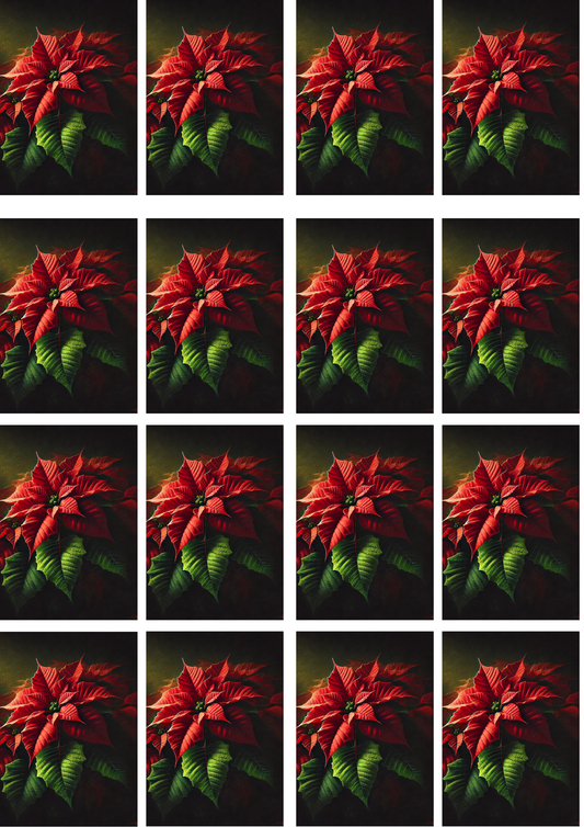 Rice Paper For Decoupage Poinsettia On Black Background Collage 12 Cat. No. 5171