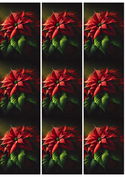 Rice Paper For Decoupage Poinsettia On Black Background Collage 9 Cat. No. 5172