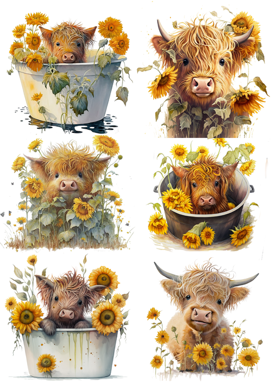 Rice Paper For Decoupage Young Highland Cow Collage Cat. No. 5582