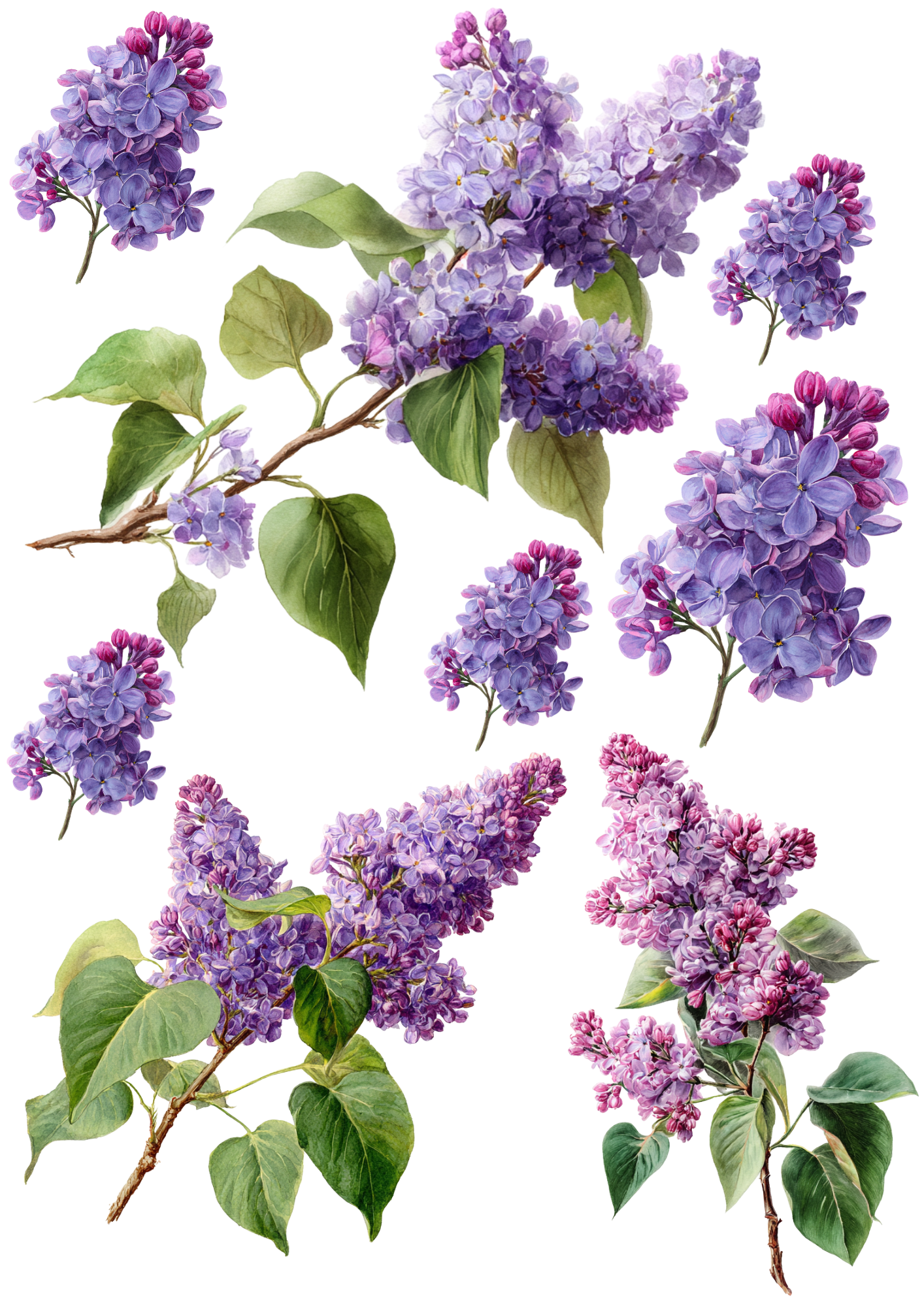 Rice Paper For Decoupage Lilac Branches Collage Cat. No. 5657