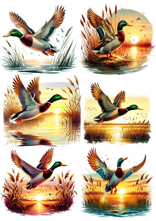 Rice Paper For Decoupage Duck Collage Cat. No. 5785