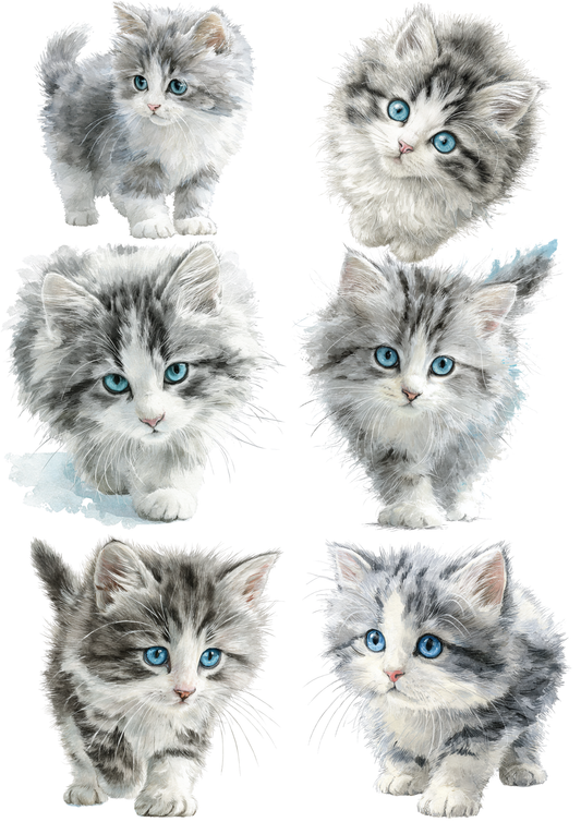 Rice Paper For Decoupage Little Kitten Collage Cat. No. 8332