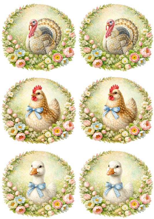 Rice Paper For Decoupage Poultry Various Collage Cat. No. 8517