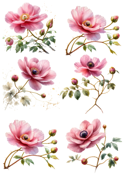 Rice Paper For Decoupage Anemones Collage Cat. No. 8546