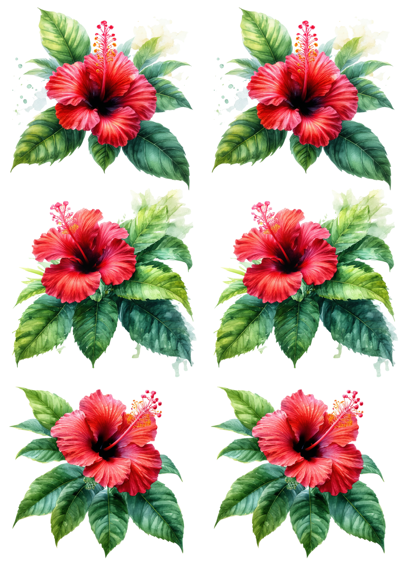 Rice Paper For Decoupage Hibiscus Collage Cat. No. 8549