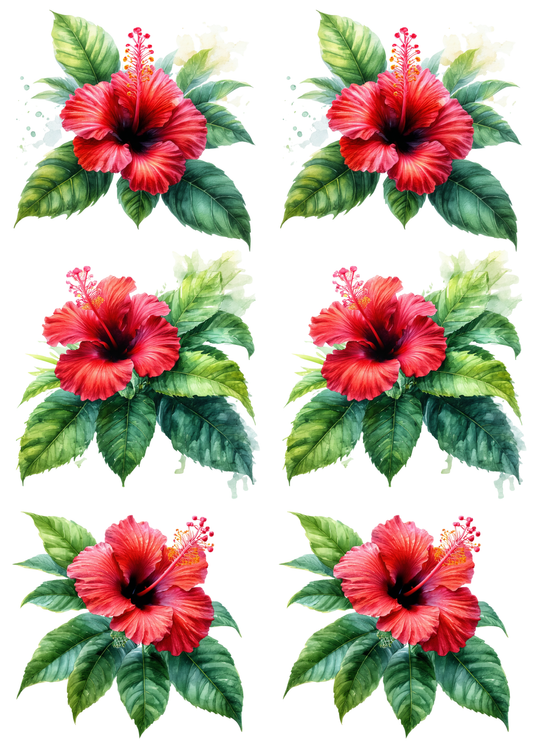 Rice Paper For Decoupage Hibiscus Collage Cat. No. 8549