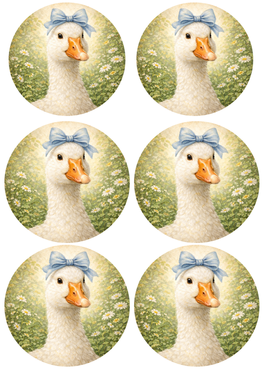 Rice Paper For Decoupage Cute Goose in Circle Collage Cat. No. 8808