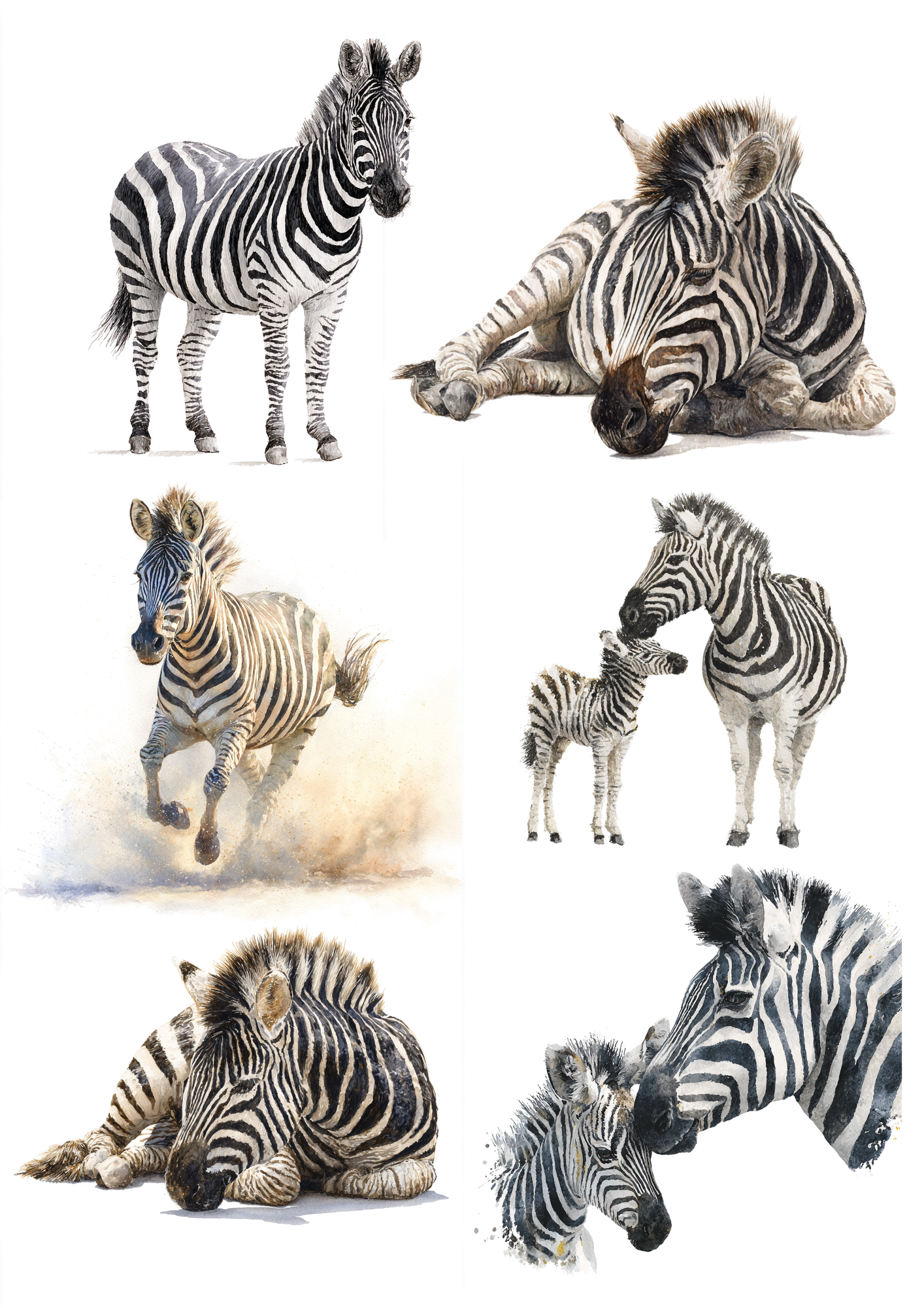Rice Paper For Decoupage African Zebra Collage  Cat. No. 9606
