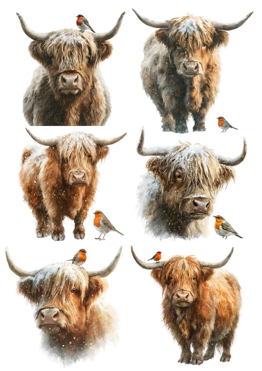 Rice Paper For Decoupage Highland Cow & Red Robin Collage Cat. No. 9750