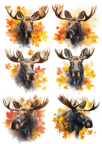 Rice Paper For Decoupage Moose in Autumn Forest Portrait Collage Cat. No. 9758