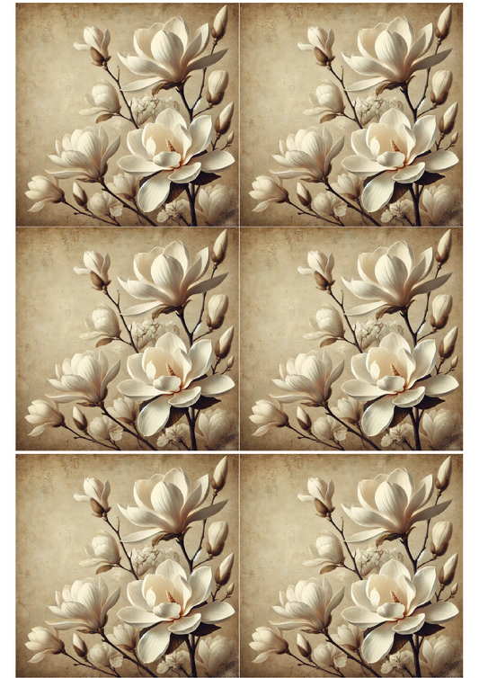 Papier de riz pour découpage Magnolia blanc Collage vintage Cat. N° 1664