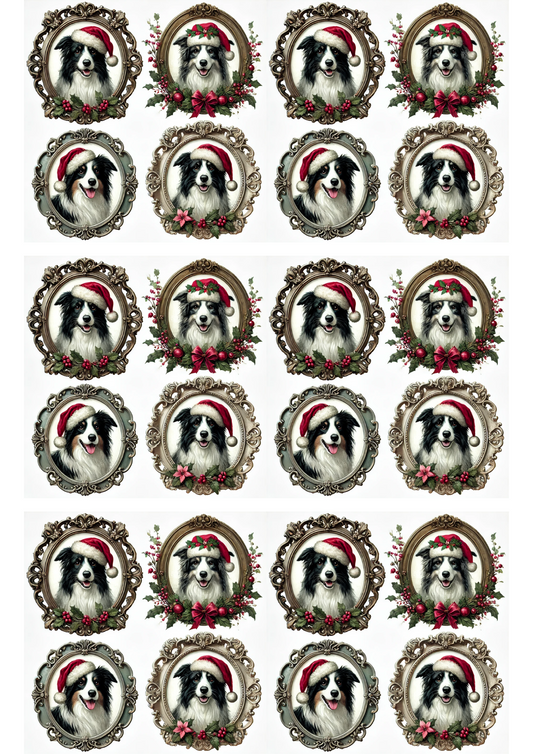 Papier de riz pour découpage Border Collie avec chapeau de Noël dans des ovales Collage Cat. N° 2953