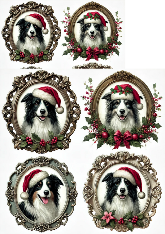 Papier de riz pour découpage Border Collie avec chapeau de Noël dans des ovales Cat. complet N° 2954