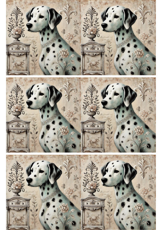 Rice Paper for Decoupage Dalmatian Dog Collage Cat. No. 1807