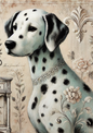 Rice Paper for Decoupage Dalmatian Dog Full Cat. No. 1808