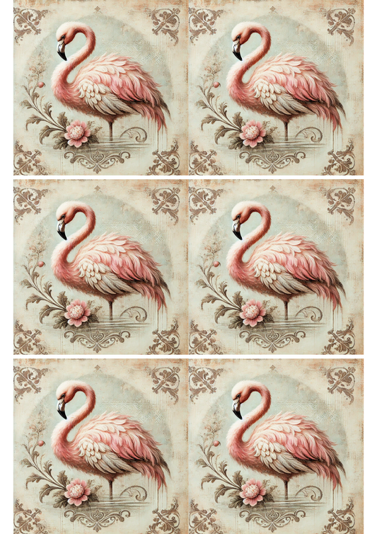 Rice Paper for Decoupage Flamingo Shabby Chic Collage Cat. No. 1890