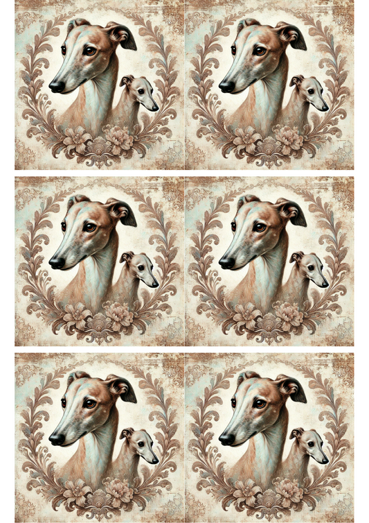 Rice Paper for Decoupage Greyhound Shabby Chic Collage Cat. No. 1950