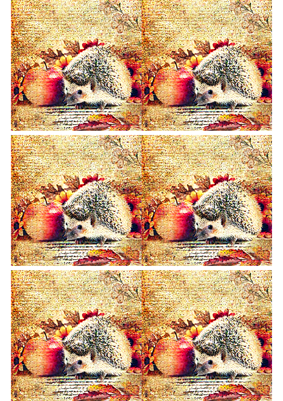 Rice Paper For Decoupage Hedgehog and Apple 2 Collage Cat. No. 2587