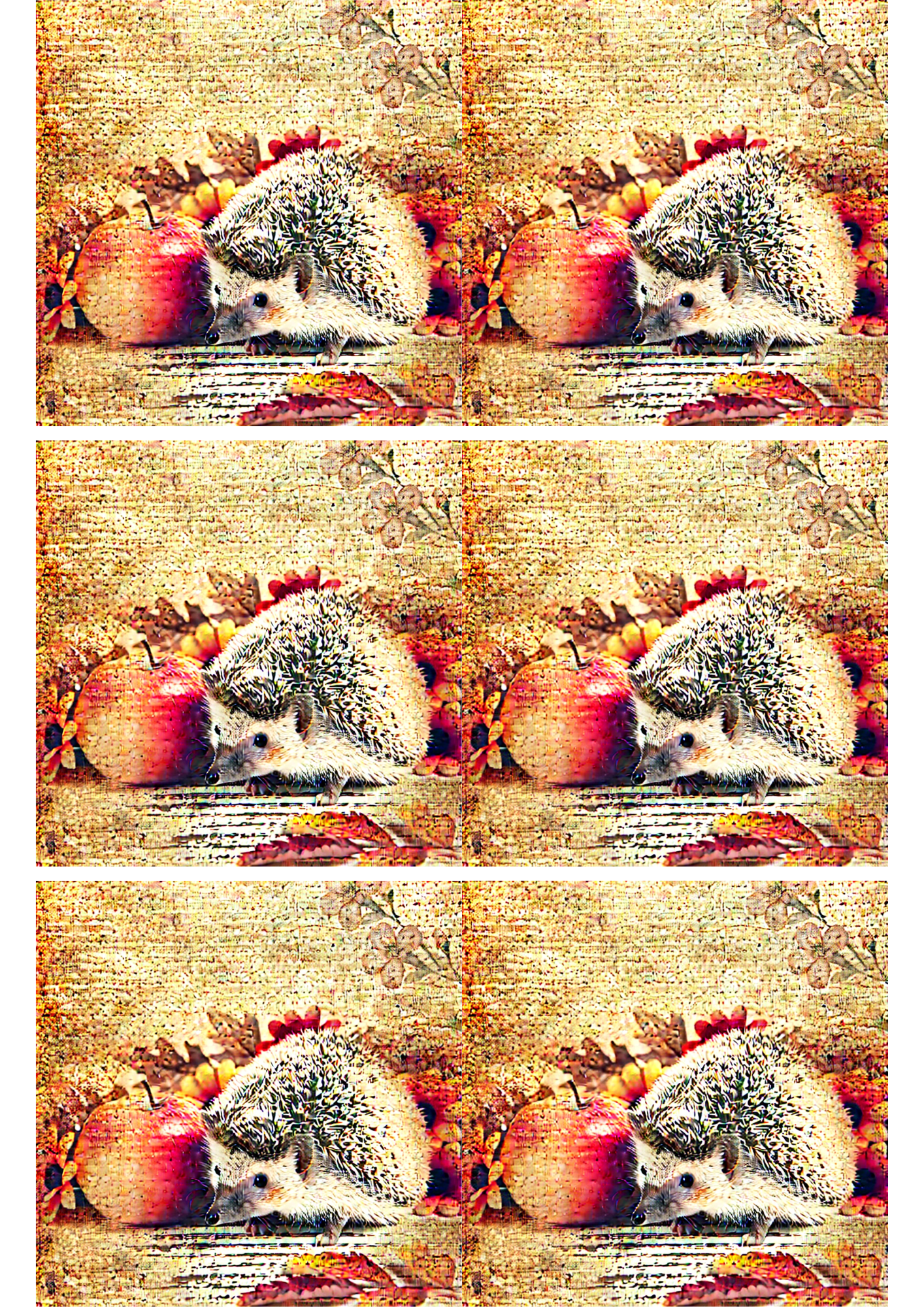 Rice Paper For Decoupage Hedgehog and Apple 2 Collage Cat. No. 2587