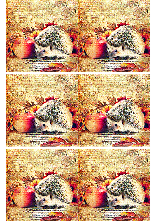 Rice Paper For Decoupage Hedgehog and Apple 2 Collage Cat. No. 2587